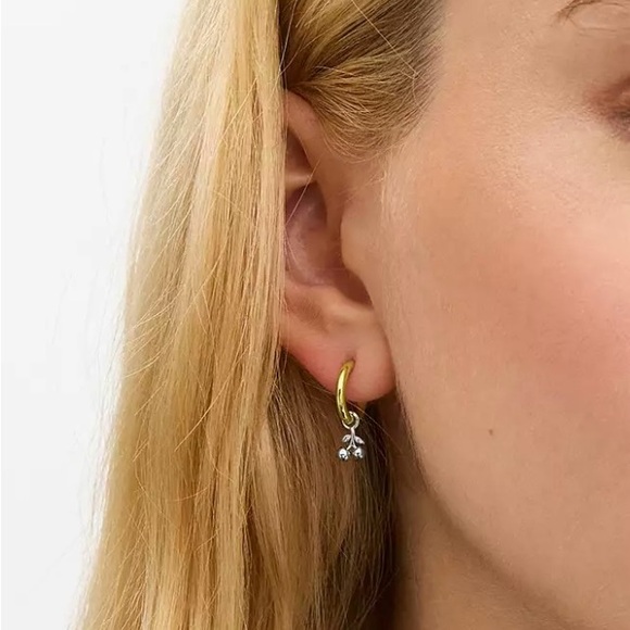 NWT Coach Mini Tea Rose And Cherry Charm Hoop Earrings - Picture 4 of 4